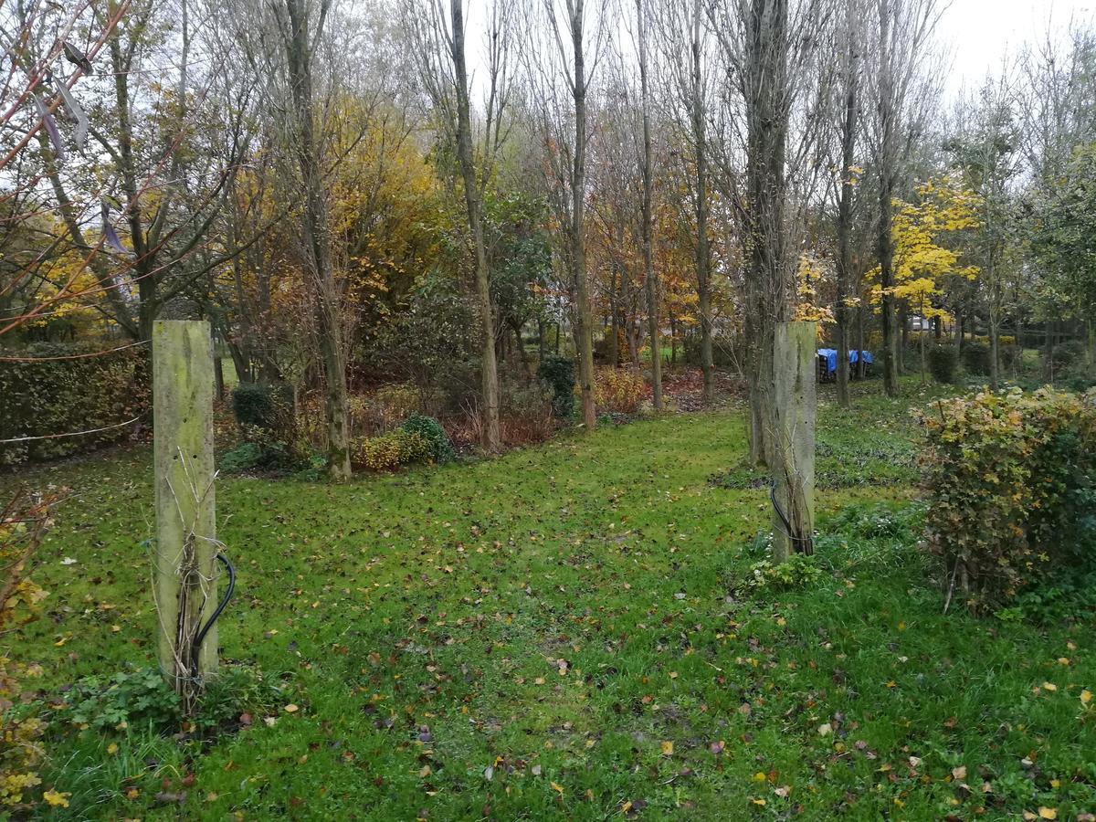 Pantgat Hof Panzió Bollezeele Kültér fotó